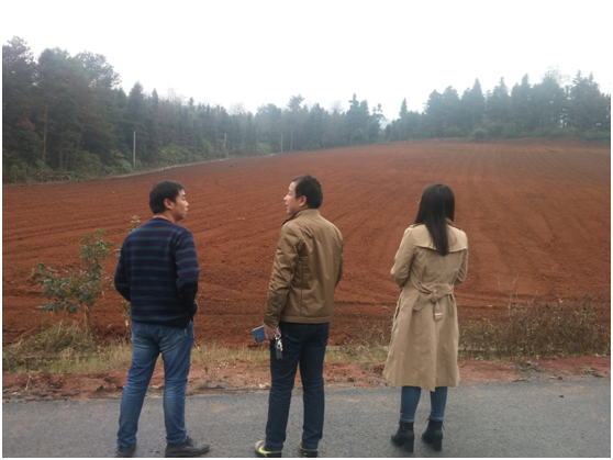 ���ľ�Ͷ�ʹɲ鿴ĵ������ֲ��Ŀ��..